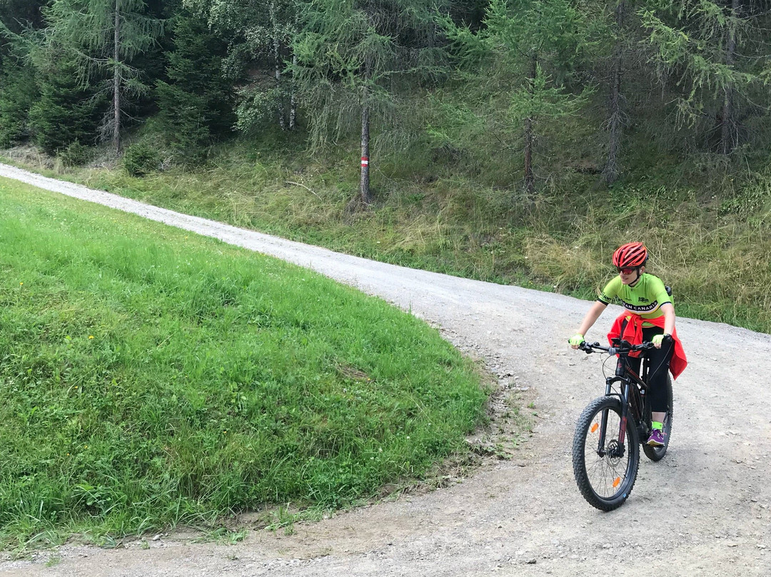 E-Bike-Verleih Wiedemair景点图片