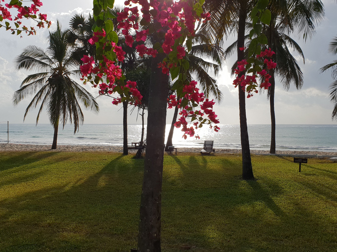 Jacaranda Indian Ocean Beach Resort主图