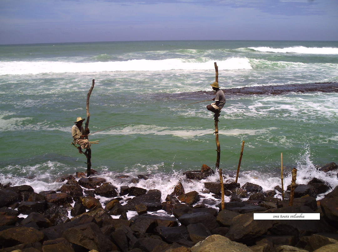 CMS Tours-科伦坡必去景点