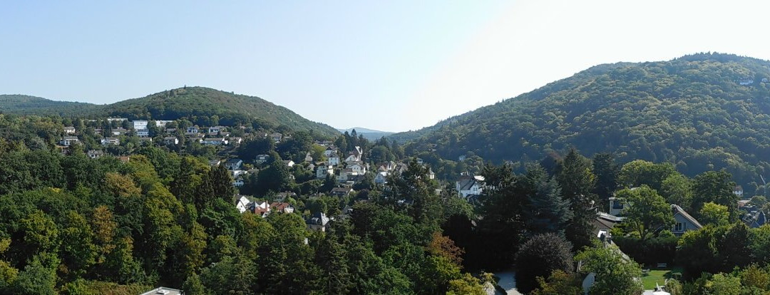Burg Eppstein景点图片