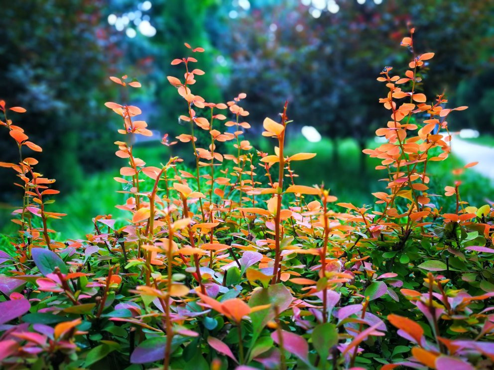 石门公园-石家庄市必去景点
