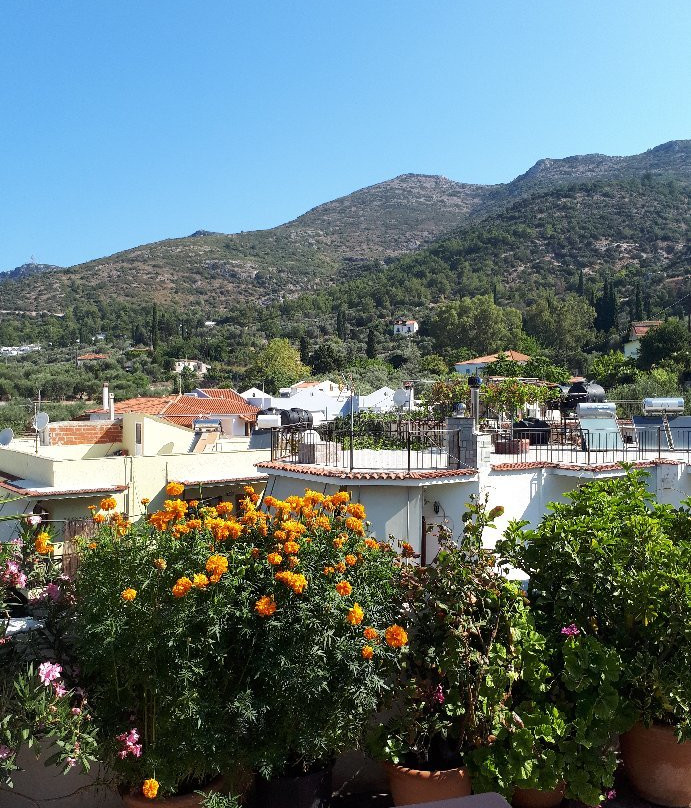 Hotel Odysseas主图