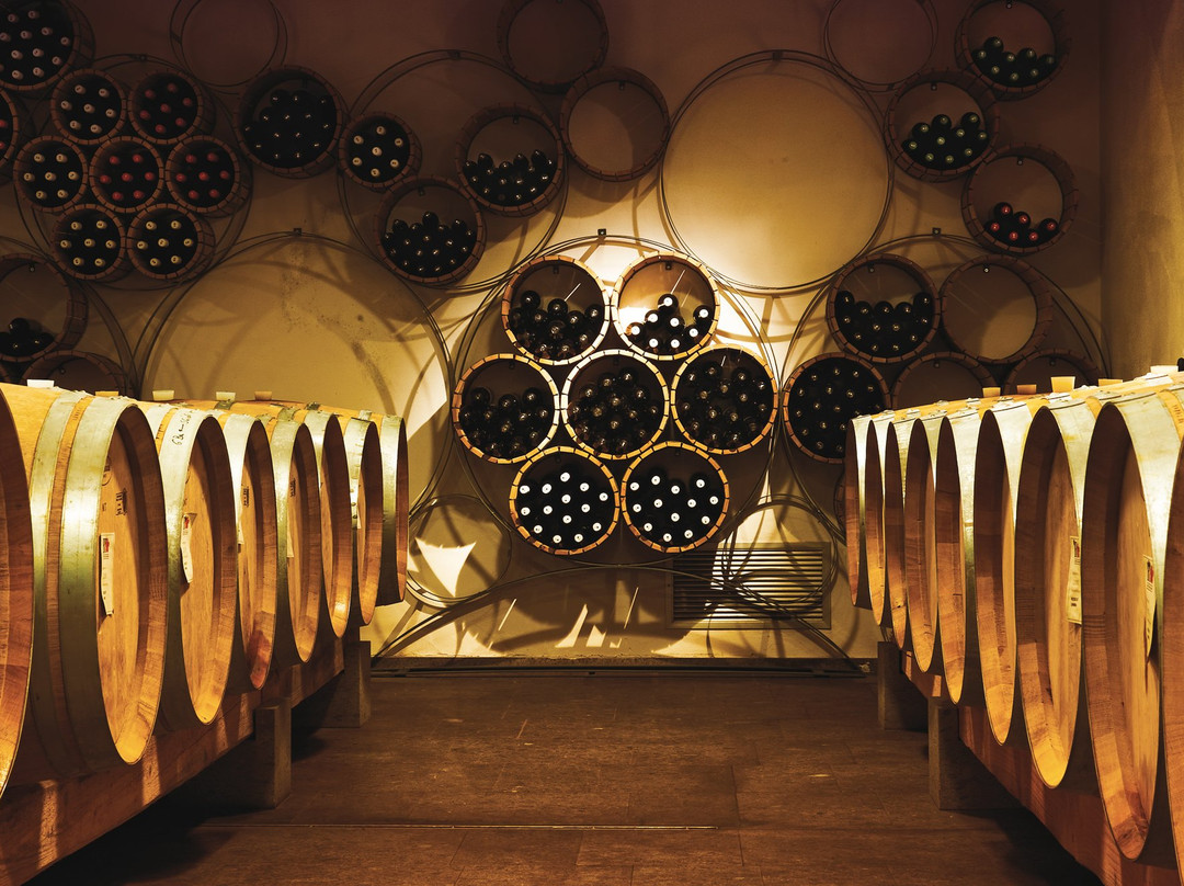 Roccafiore Winery-托迪必去景点