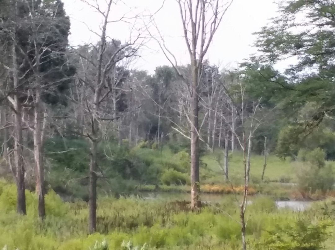 Mississinewa Lake-Peru必去景点