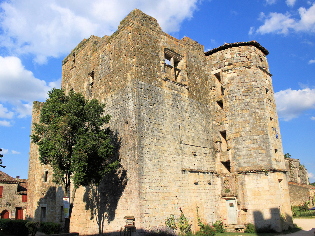 Le Village Fortifie de Larressingle景点图片