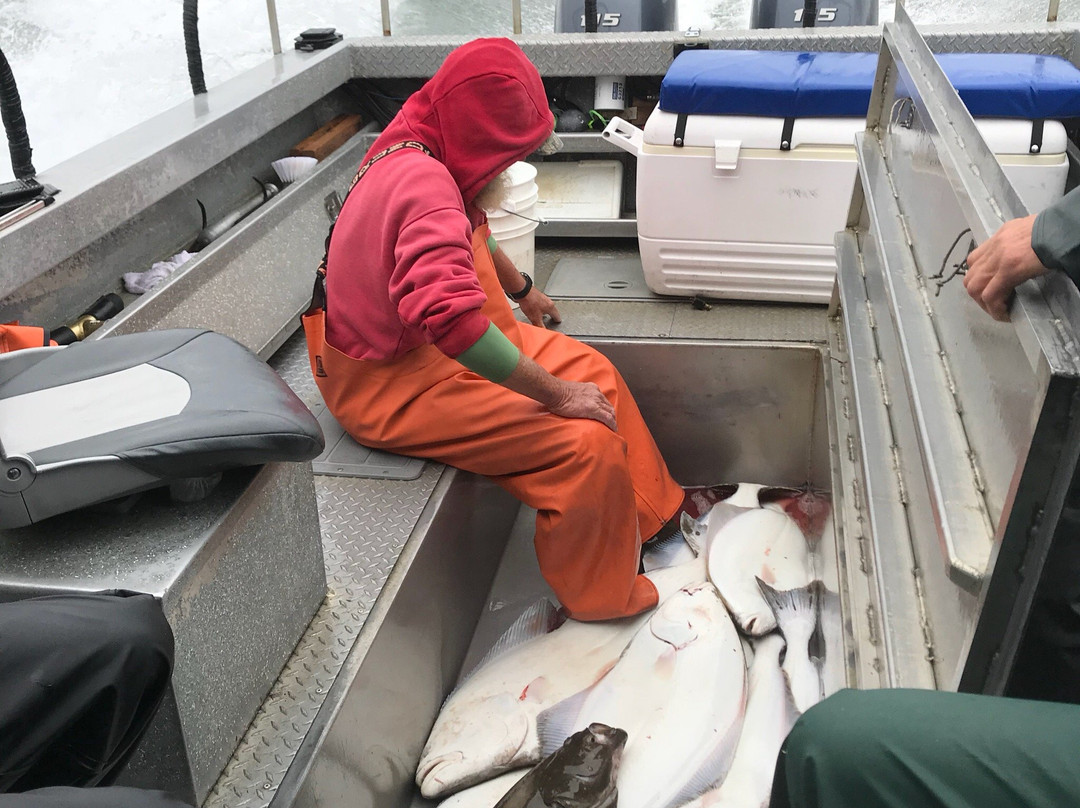 Alaskan Adventure Charters-索尔多特纳必去景点