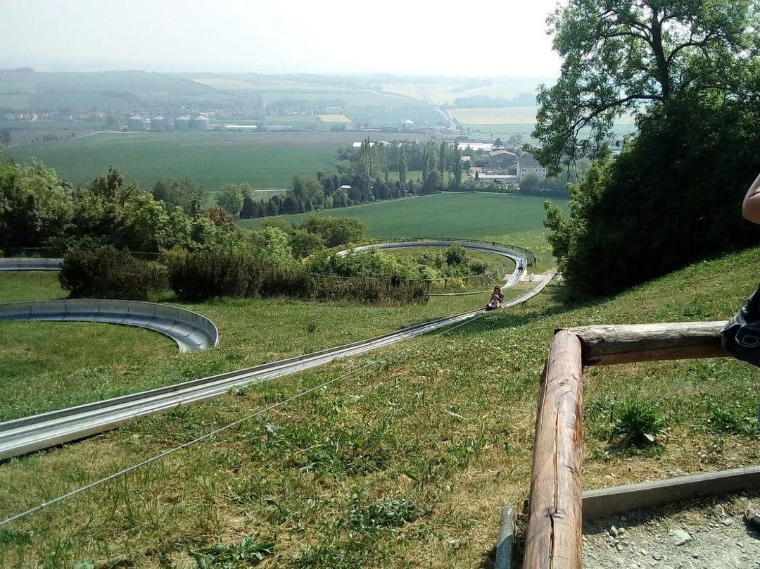 Sommerrodelbahn Eckartsberga景点图片