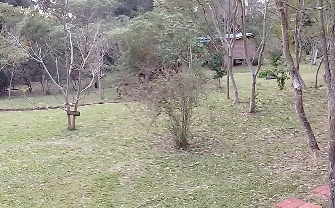 Posada Camboatá主图