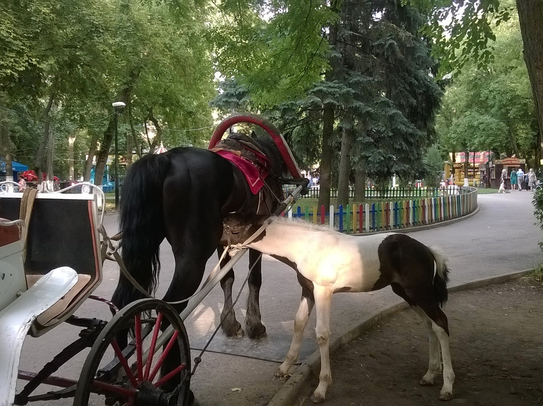 Ostrovsky Park景点图片