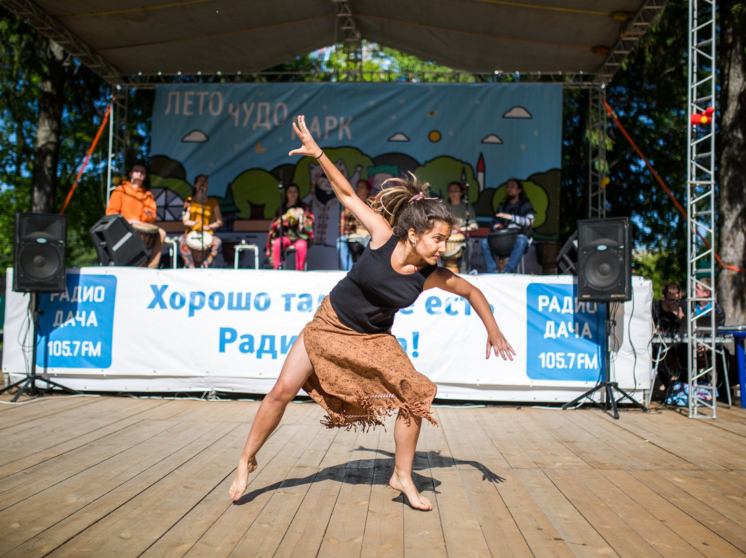 A. Nikolayev Children's Park-Cheboksary必去景点
