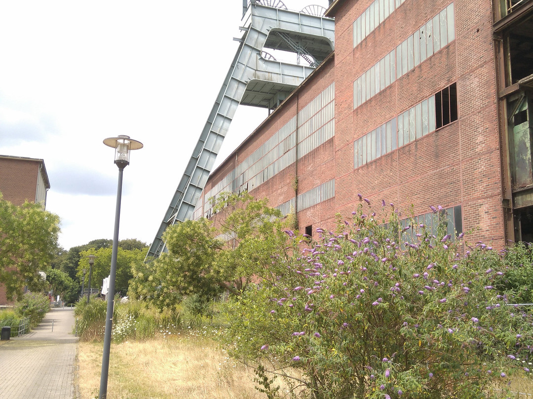 Neue Horizonte - Auf Den Spuren Der Zeit-黑尔滕必去景点