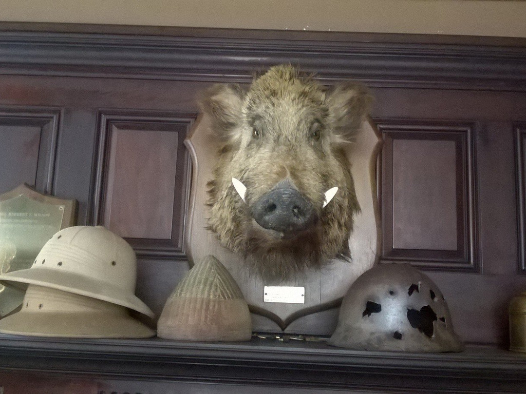 Wilson Castle-Proctor必去景点