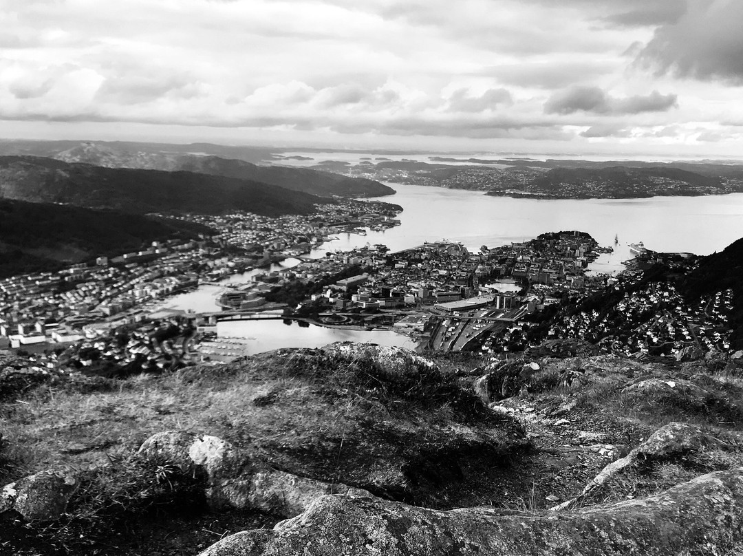 Bergen Base Camp Day Tours景点图片
