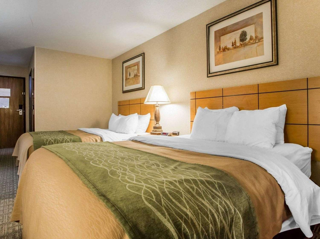 Quality Inn & Suites主图