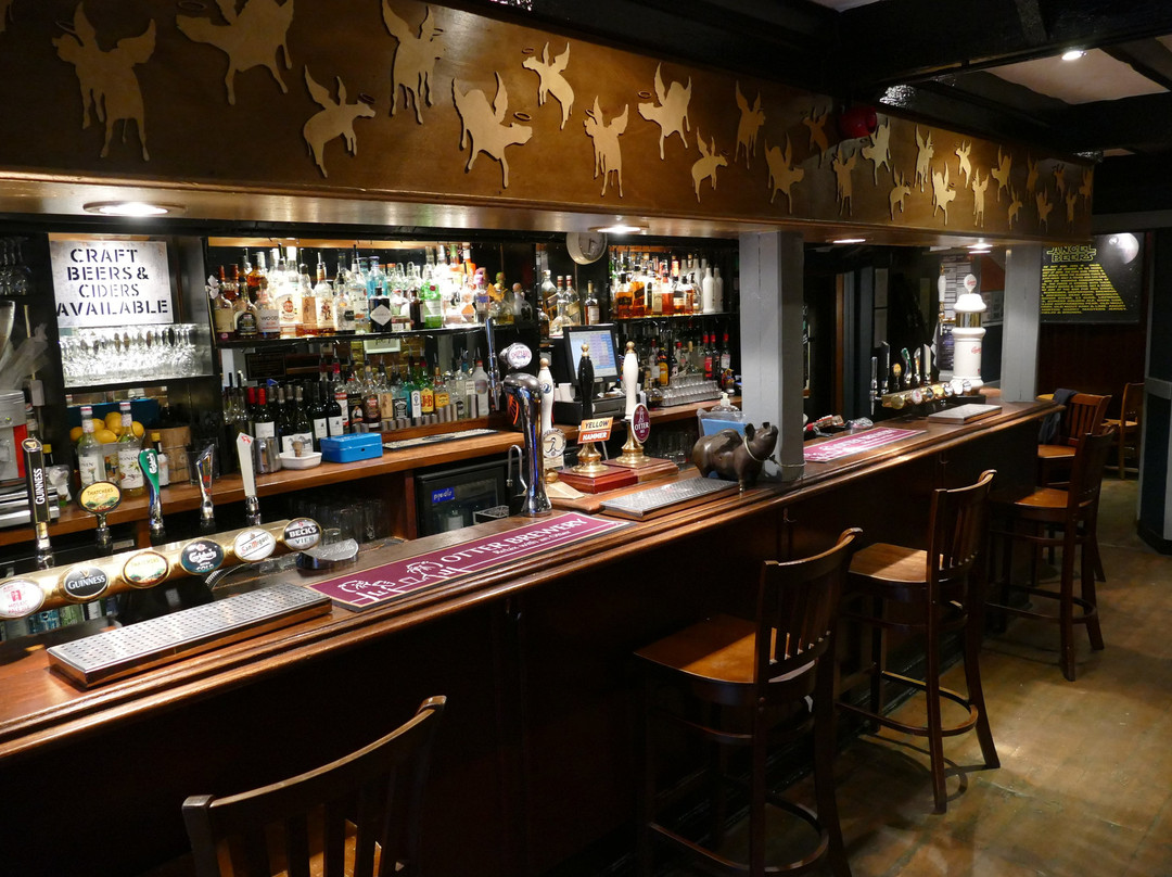 Angel Bar Exeter-埃克塞特必去景点