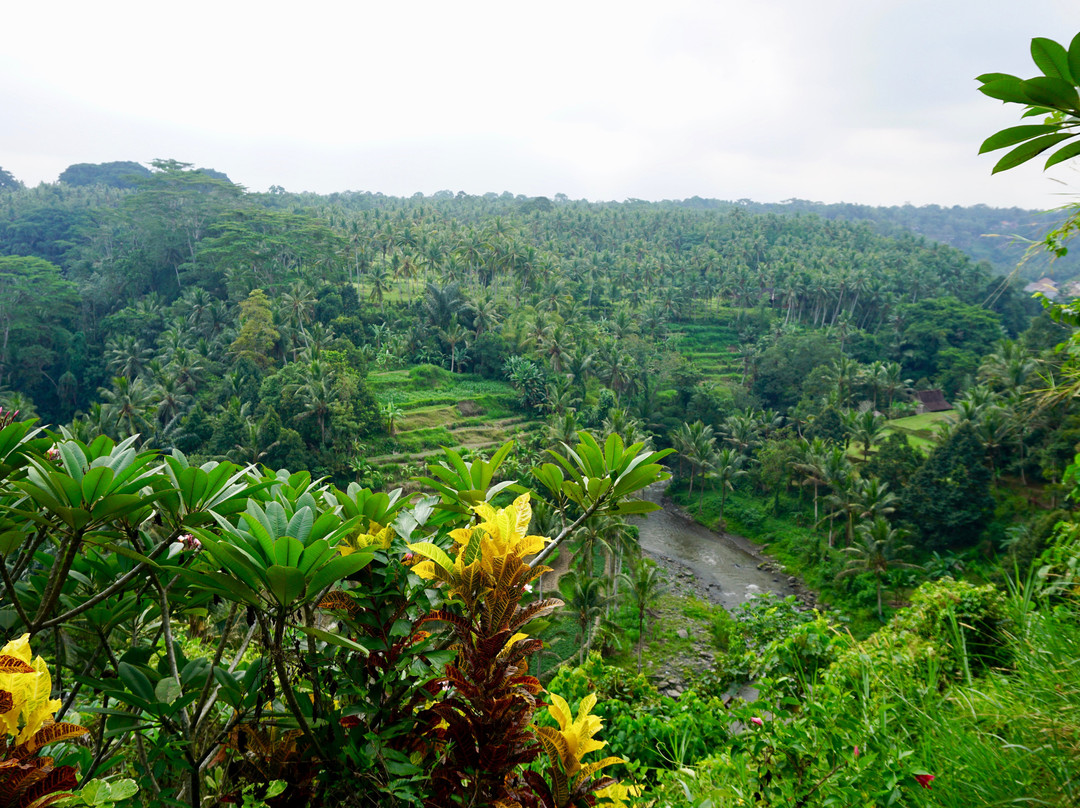 塔曼贝贝克度假Spa酒店主图