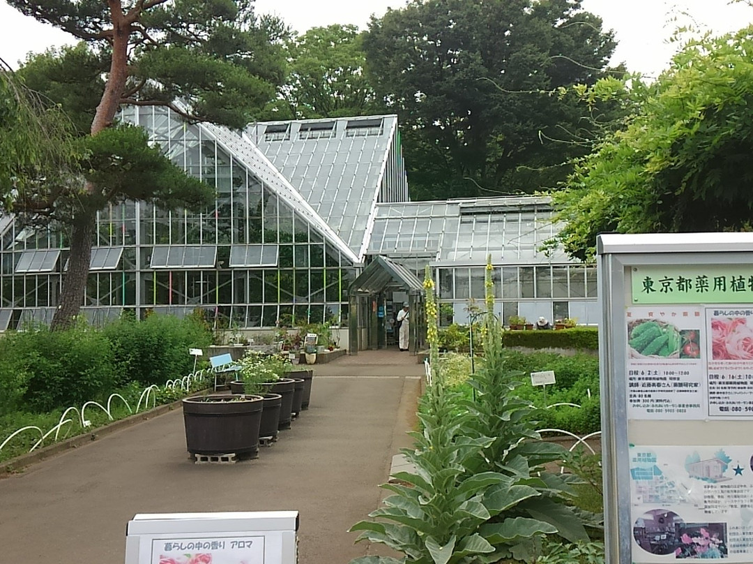 Tokyo Medicobotanical Garden-小平市必去景点