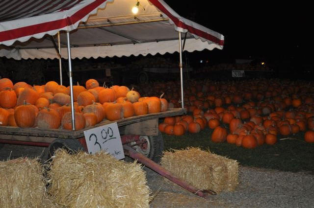 Today's Harvest-New Paris必去景点