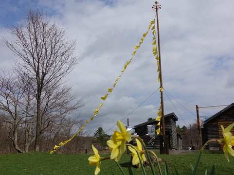 幸福的黄手帕-夕张市必去景点