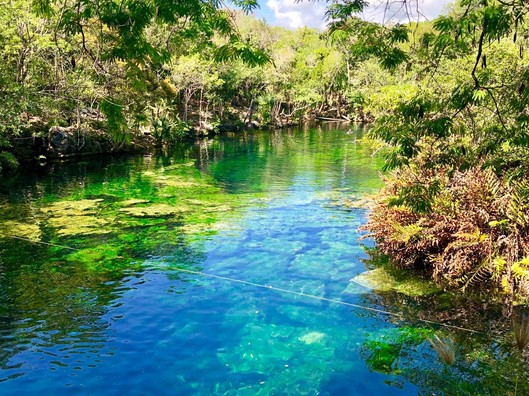 Cenote Jardín del Eden景点图片