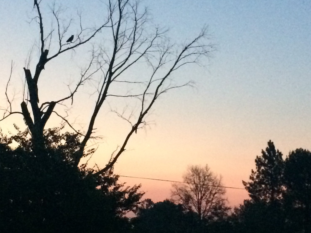 Malikana Guesthouse主图