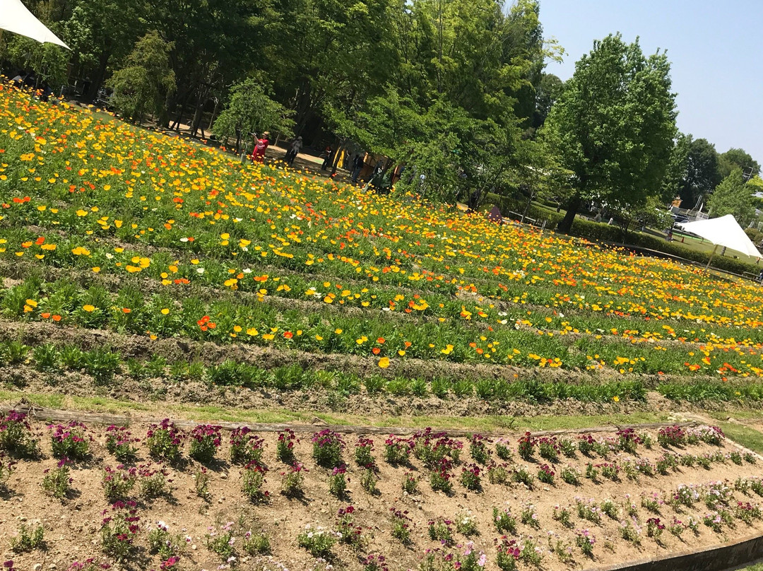 Tondabayashi Savor Farm-富田林市必去景点