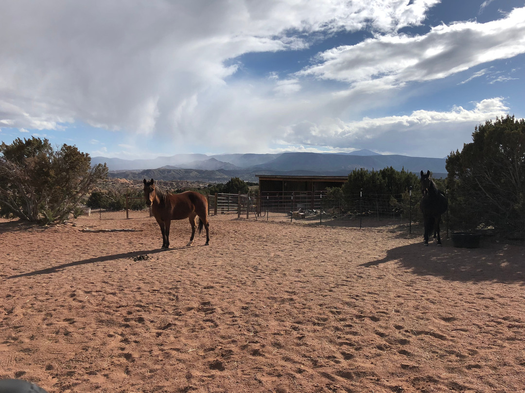 In Sync with Horses-Abiquiu必去景点