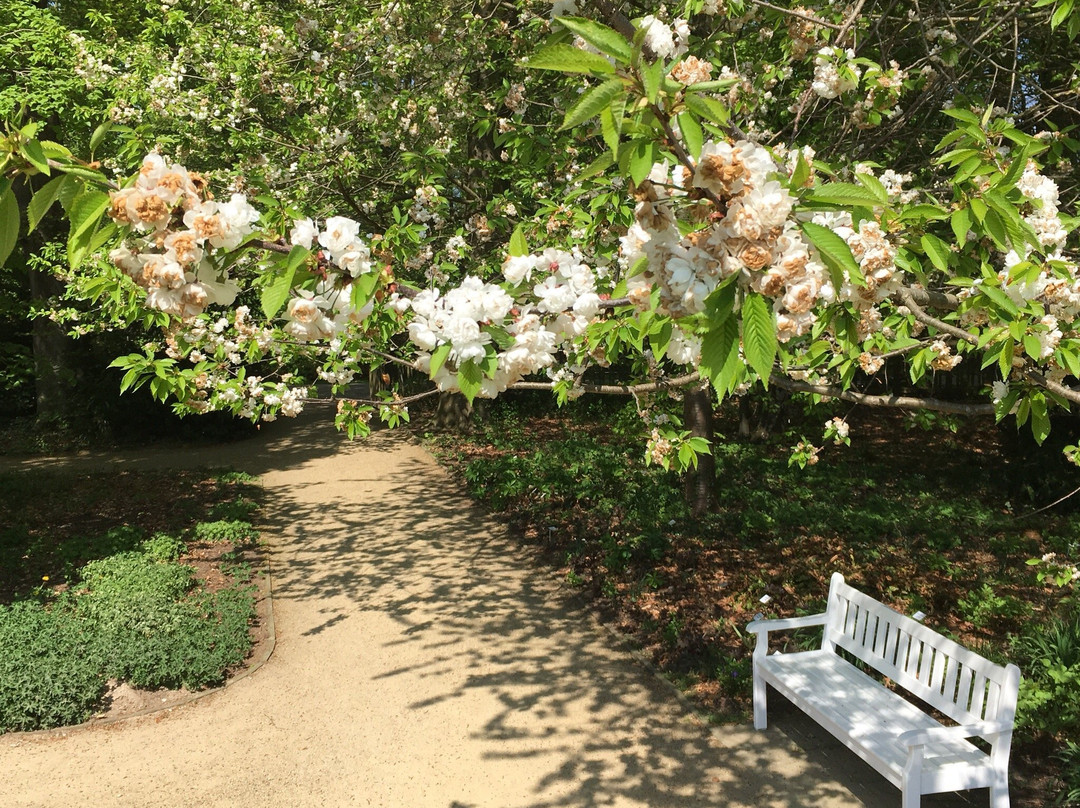 Botanischer Garten景点图片