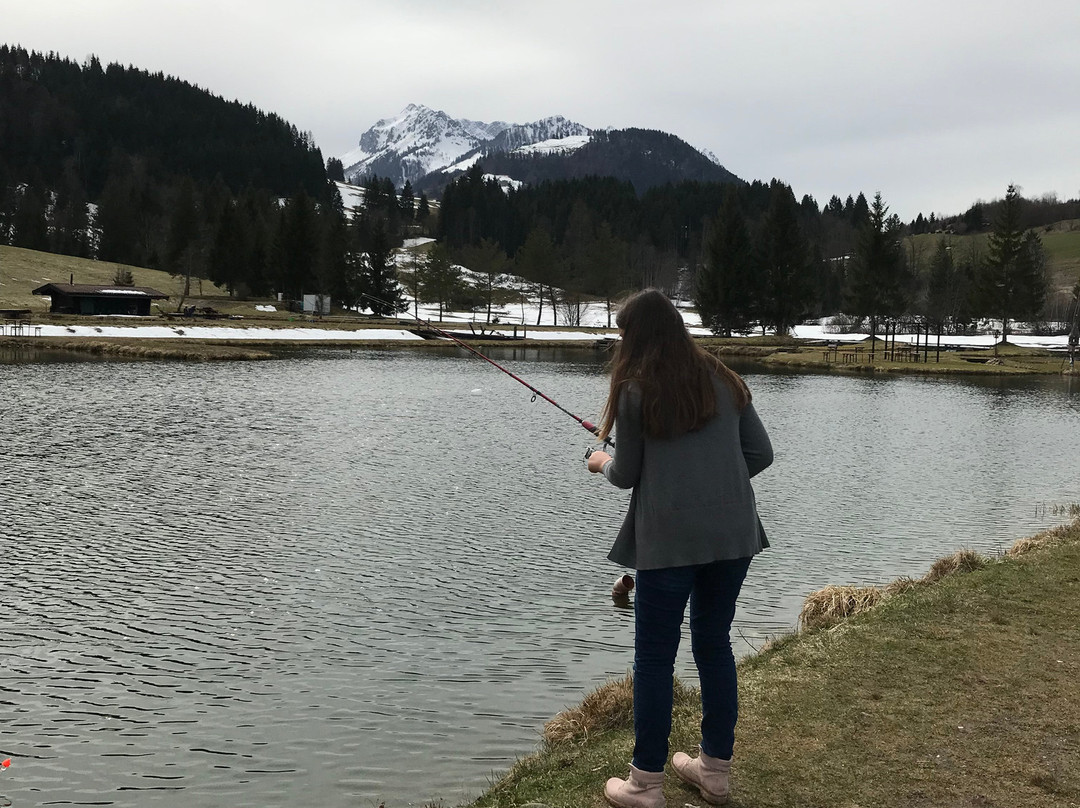 Bichlacher Angelteiche-Koessen必去景点