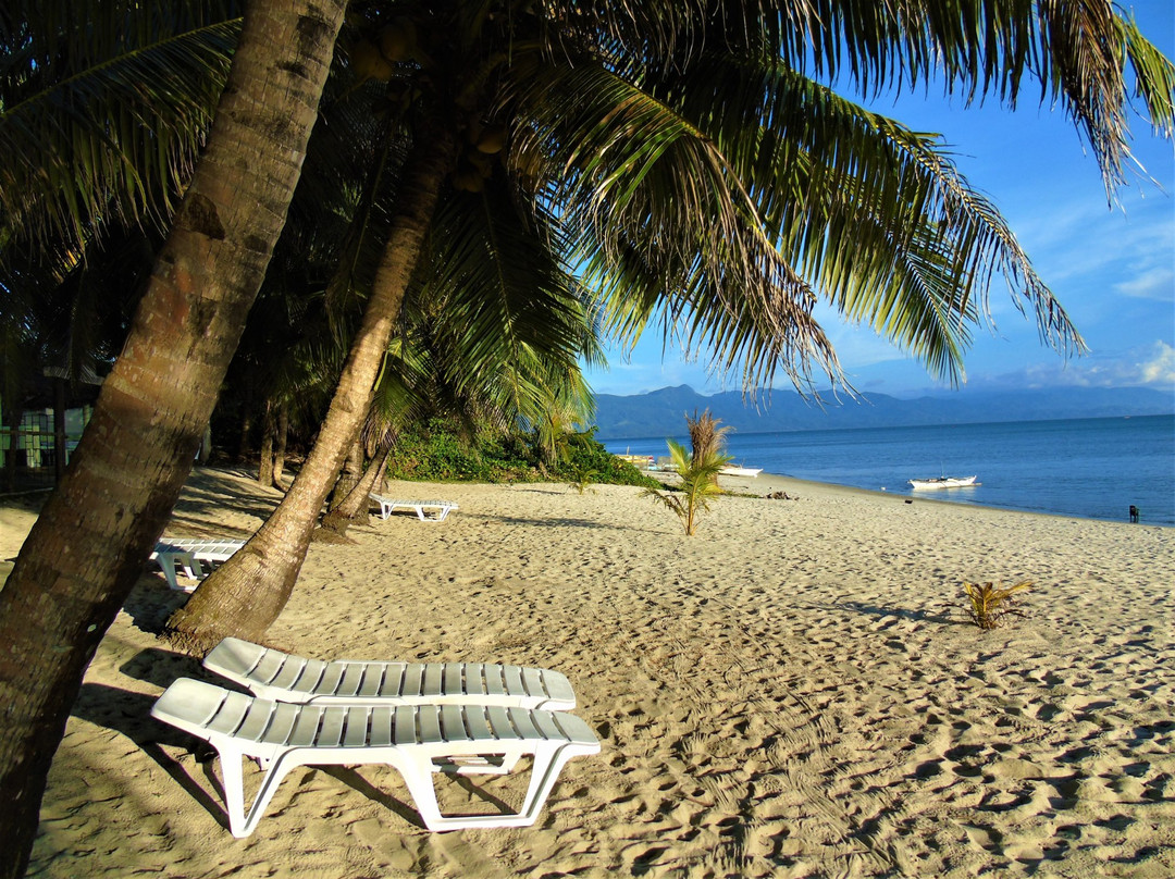 费顿海滩度假村主图