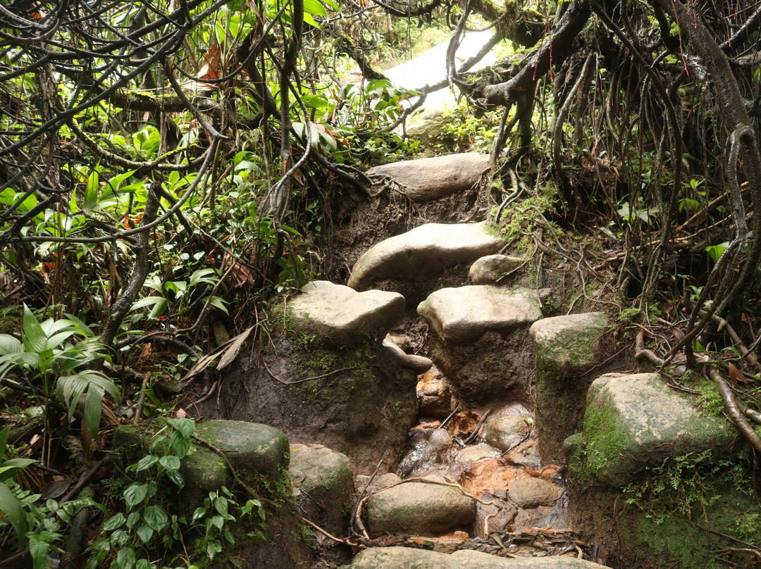 Pedra Da Rajada景点图片