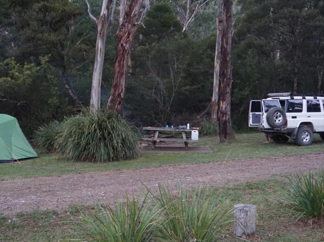 Guy Fawkes River National Park景点图片