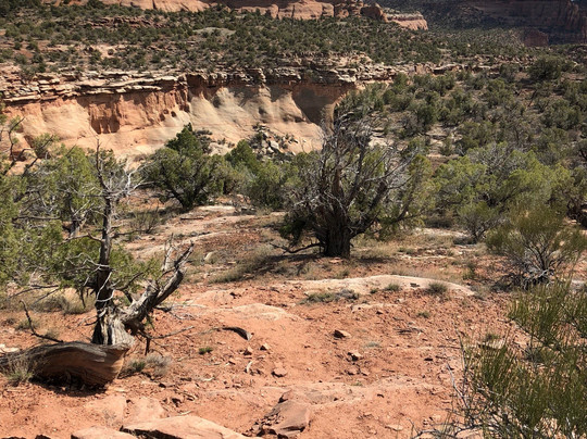 Rattlesnake Canyon-弗鲁塔必去景点