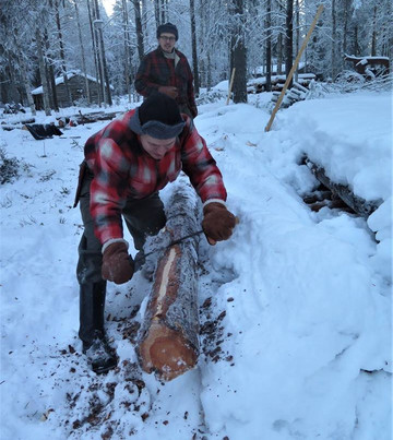 Forestry Museum of Lapland-罗瓦涅米必去景点