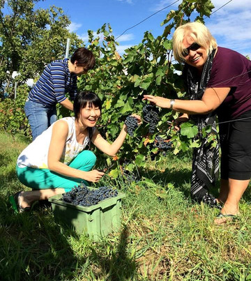 Good Life Tour-第比利斯必去景点