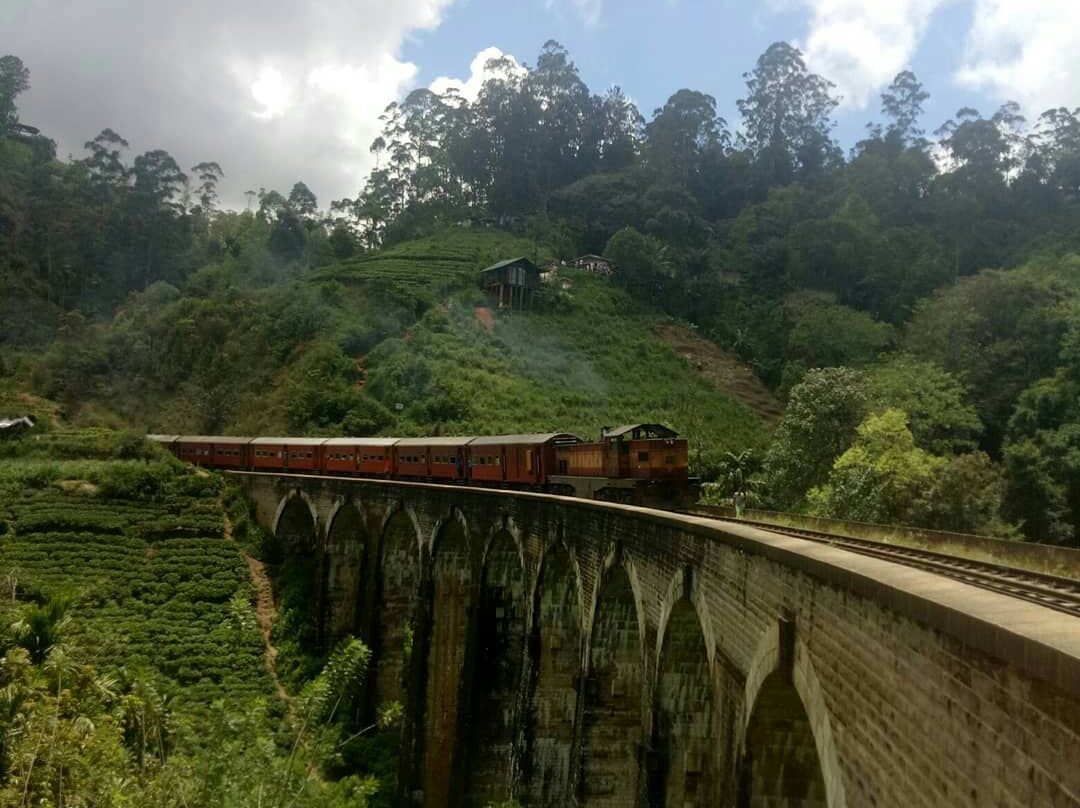 Banana Tours Sri Lanka-卡图纳耶克必去景点
