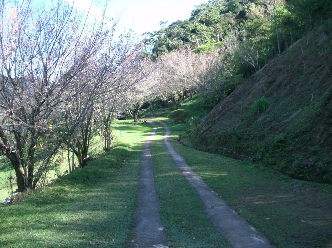 Pousada Eco Resort Nagual主图