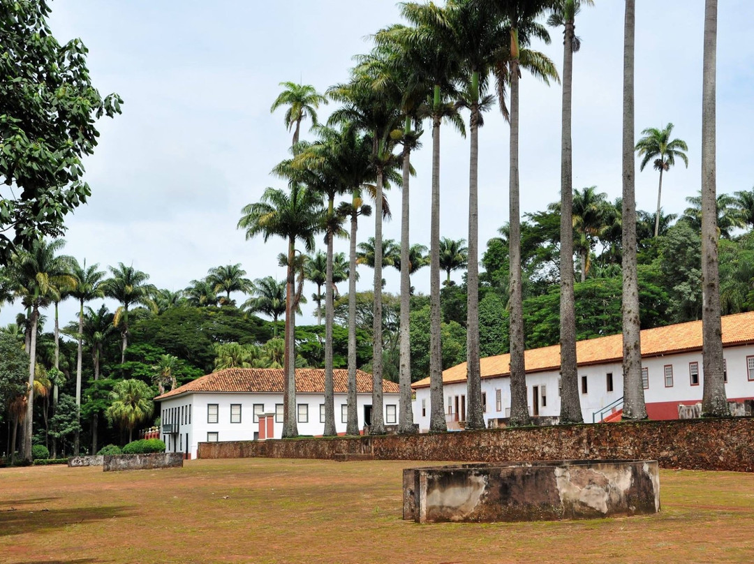 Casa do Pinhal景点图片