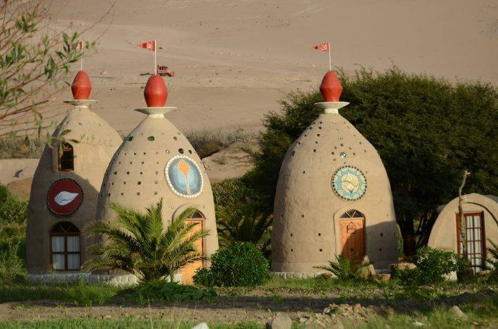 Eco Truly Arica Ecological Farm景点图片