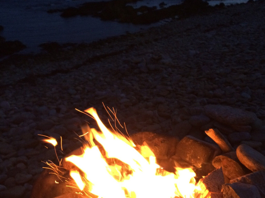 Helmsdale Beach-Helmsdale必去景点