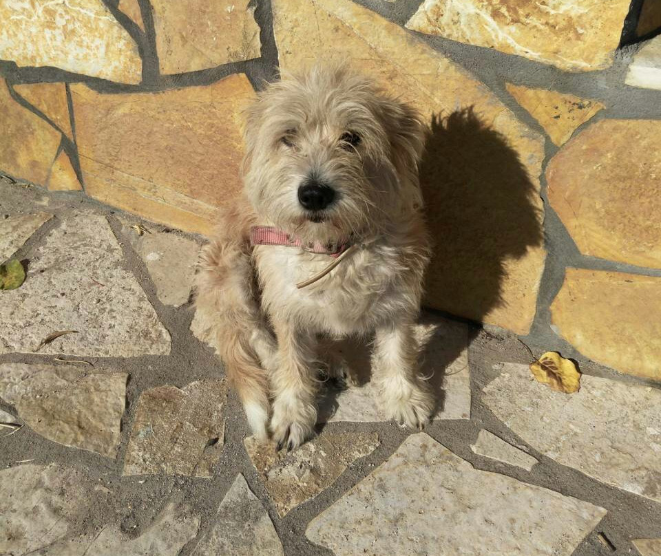 吉米的家公寓主图