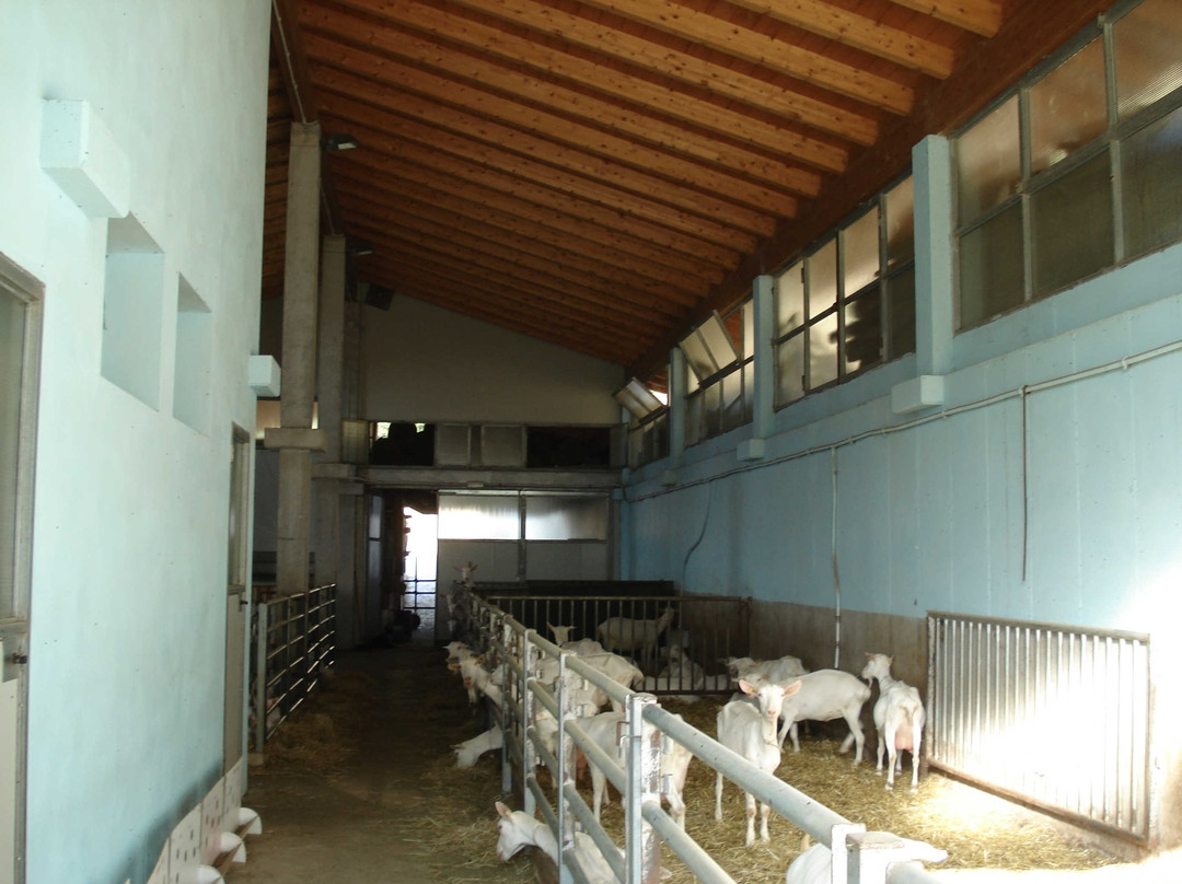 Azienda Agricola Stella Sebina景点图片