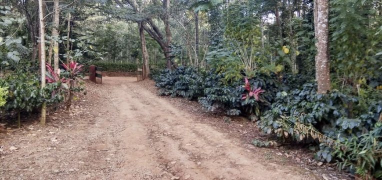 Silver Woods Homestay-浴室