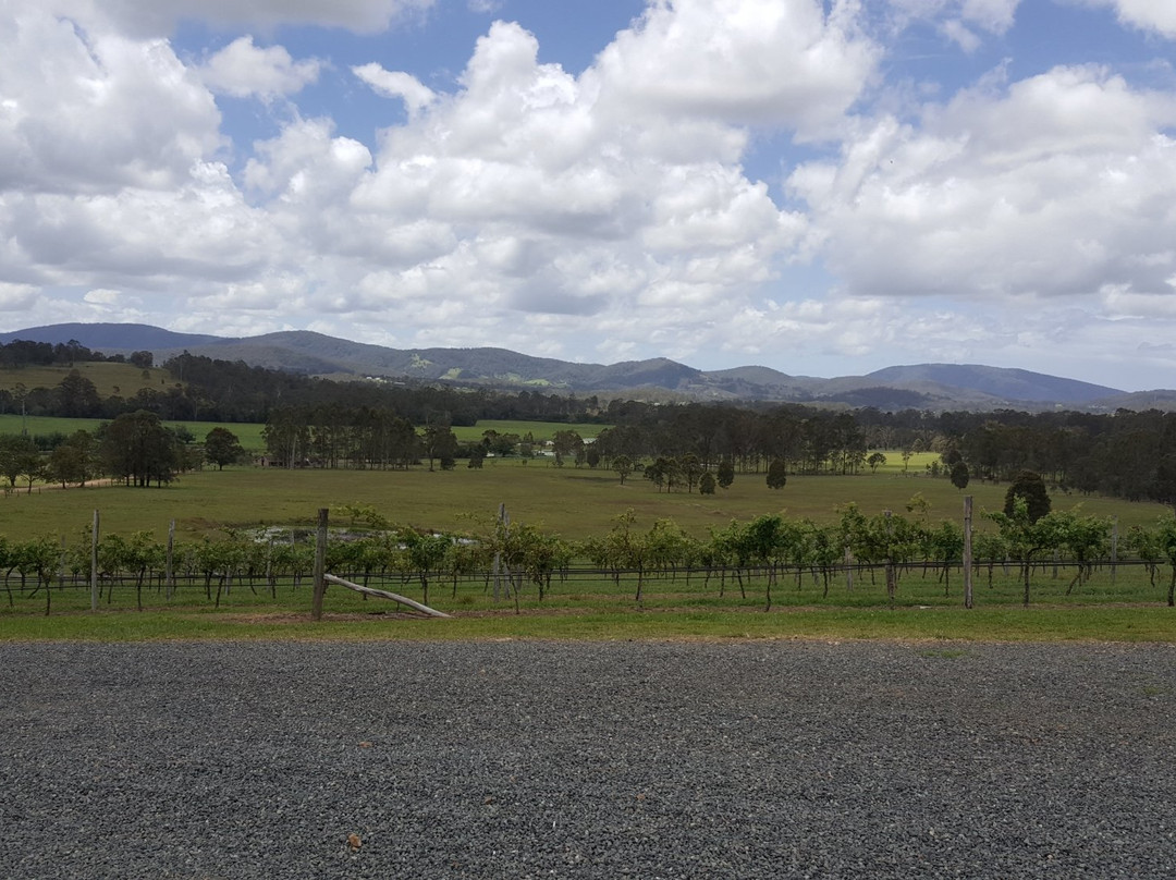 Coolongolook旅游景点-Villa d'Esta Vineyard