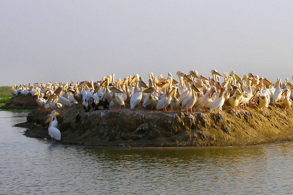 Senegal Voyage景点图片