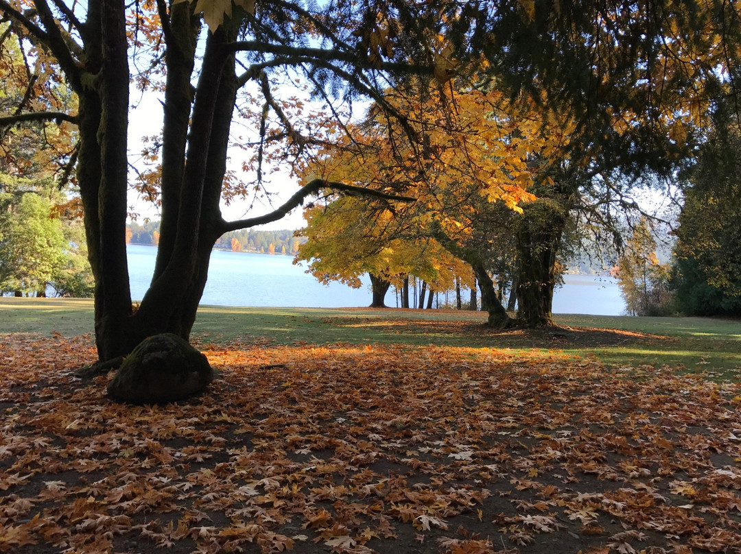 West Shawnigan Lake Provincial Park景点图片