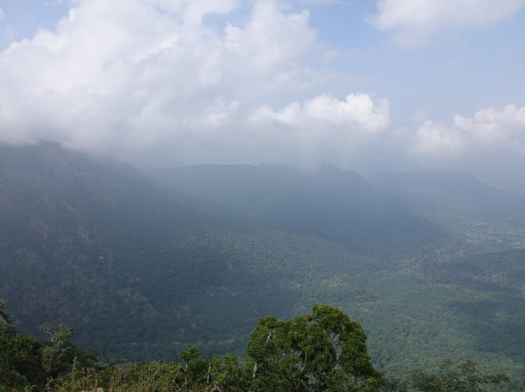 Karadiyur View Point景点图片