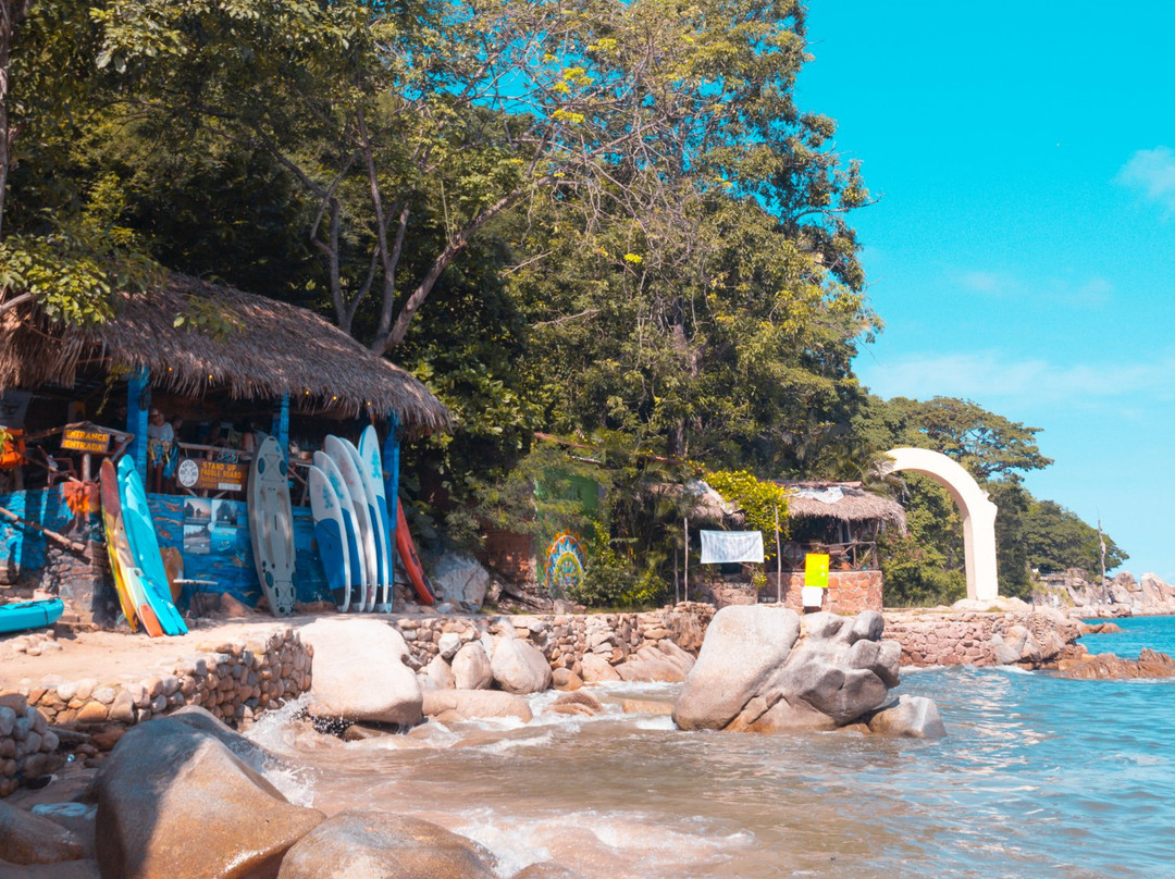 Paddle Zone-瓦拉塔港必去景点