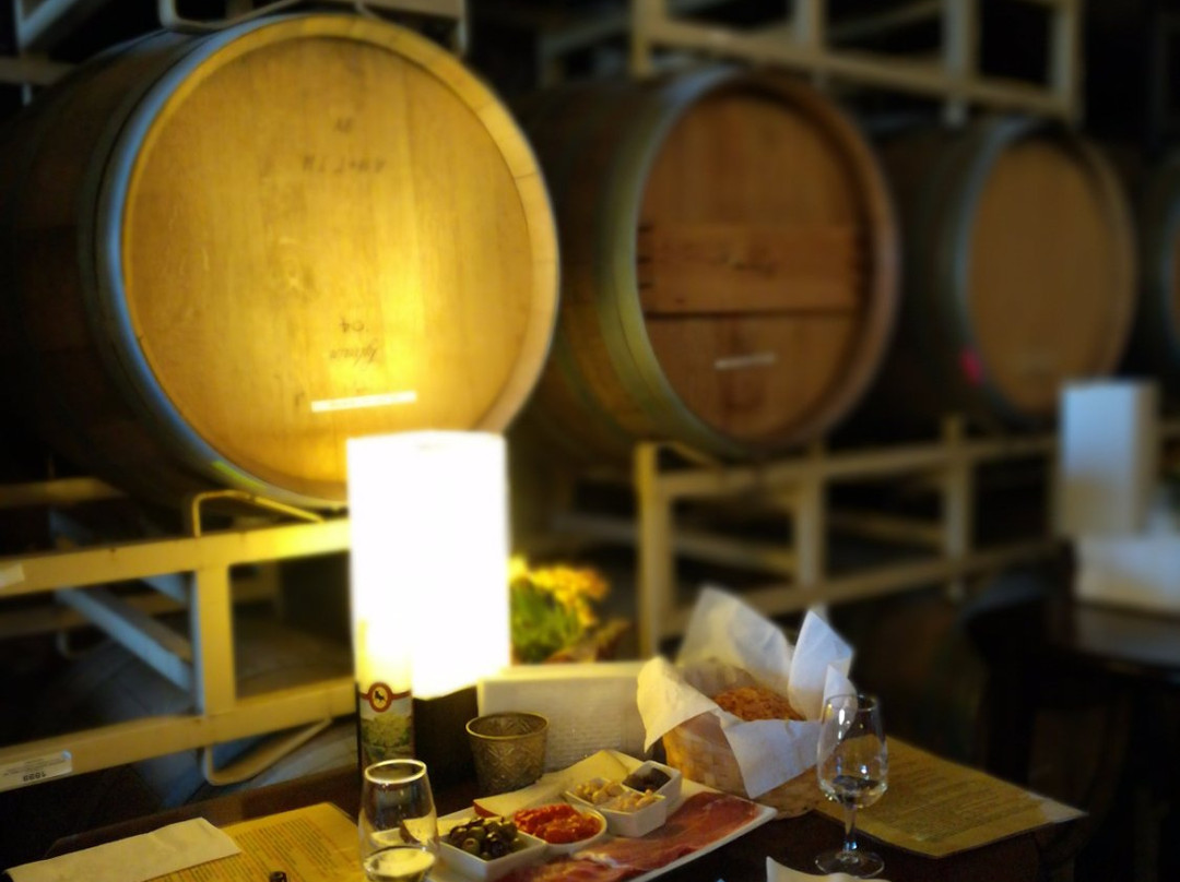 Vina Castellano Winery景点图片