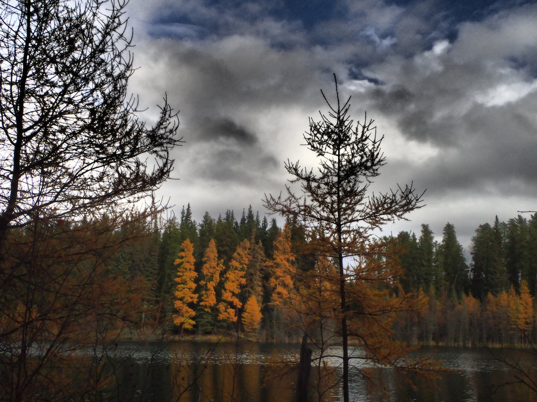Narrow Hills Provincial Park-Snowden必去景点